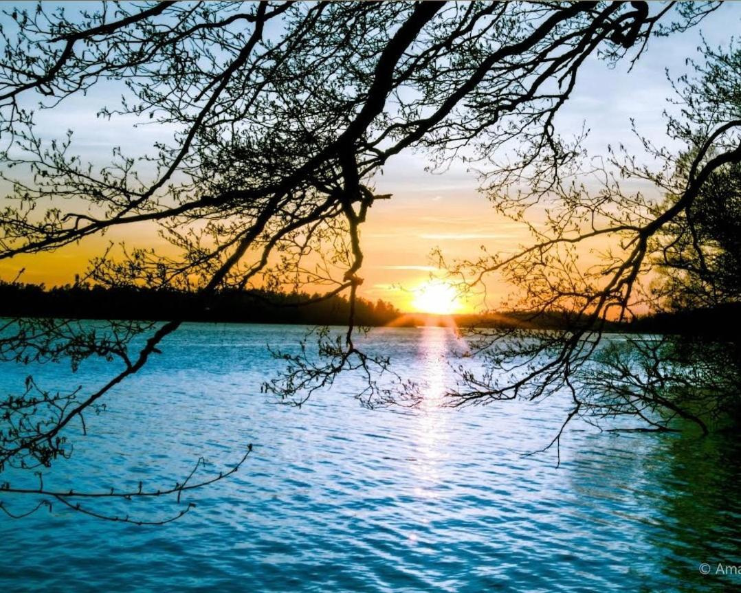 Close To The Metro And The Beach!!! With A View Of The Scandinavian Forest Стокхолм Екстериор снимка