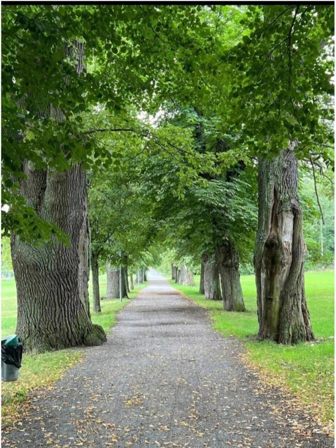 Close To The Metro And The Beach!!! With A View Of The Scandinavian Forest Стокхолм Екстериор снимка