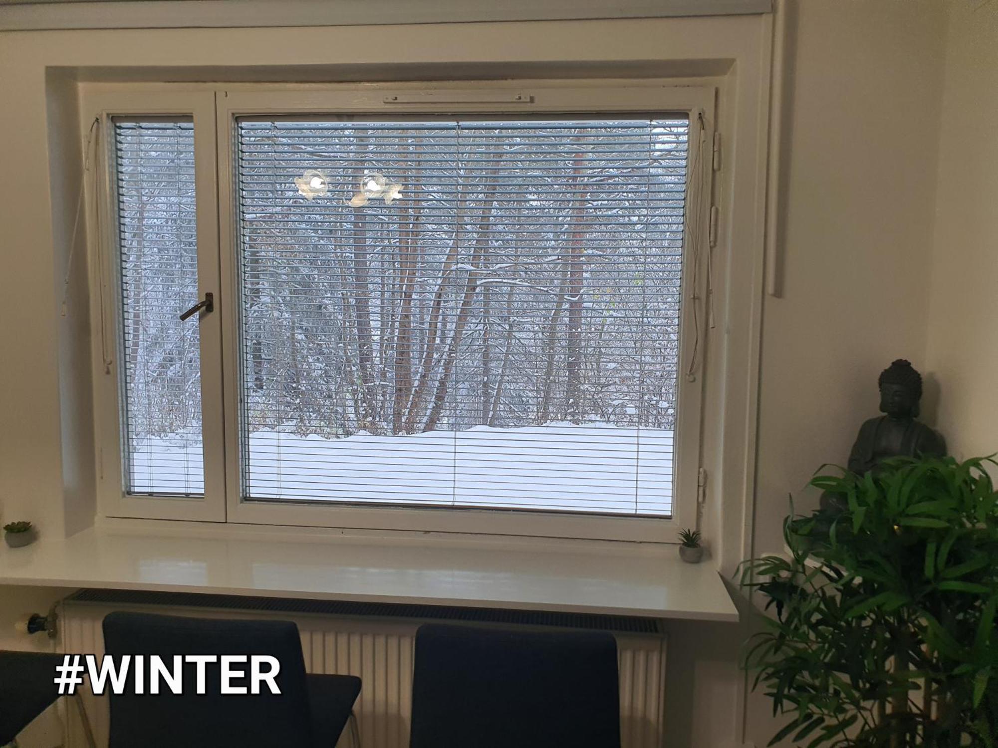 Close To The Metro And The Beach!!! With A View Of The Scandinavian Forest Стокхолм Екстериор снимка